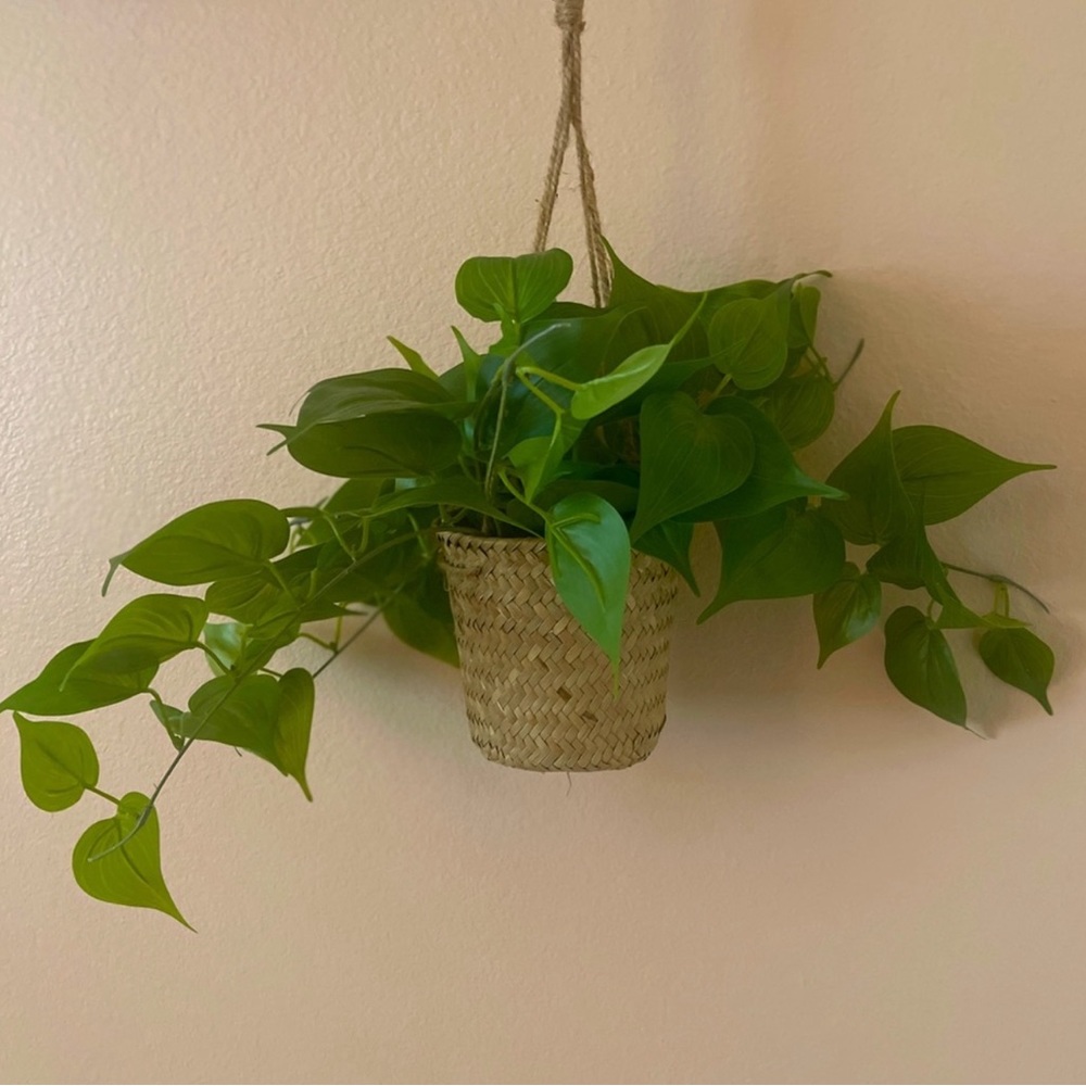 🪴Hanging boho style faux soft potted plant